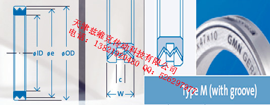 GMNM80X100X10油封圖紙